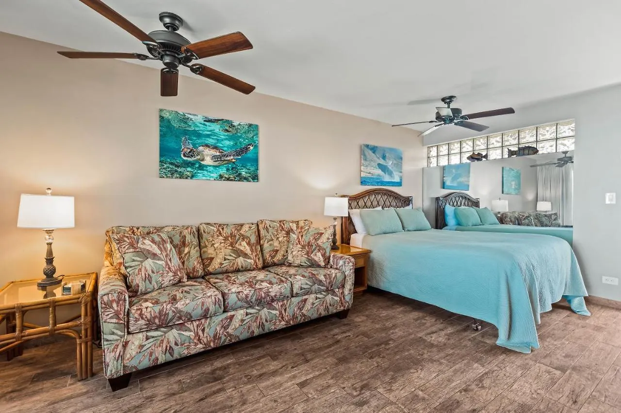 Holiday home Noelani 214 Villa Kahana United States