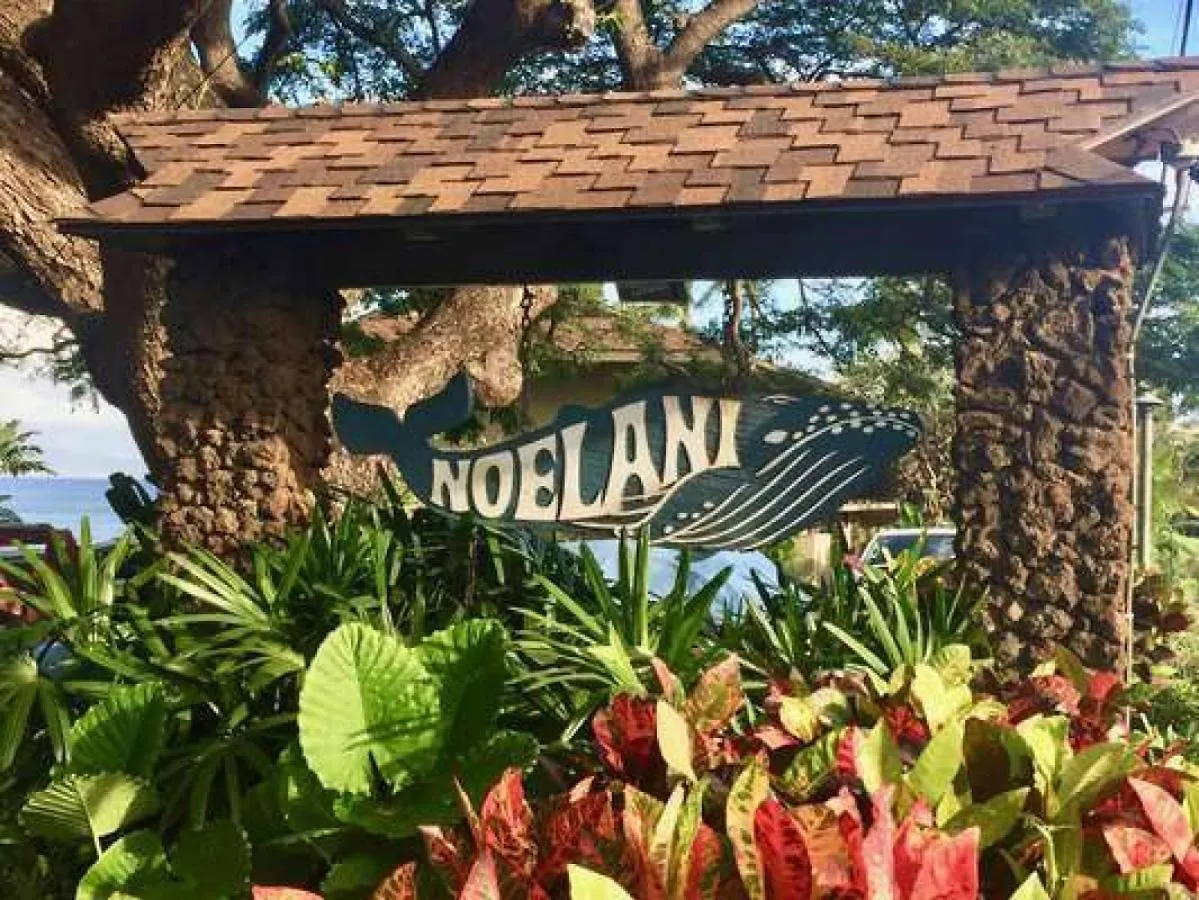 Noelani 214 Villa Kahana Holiday home